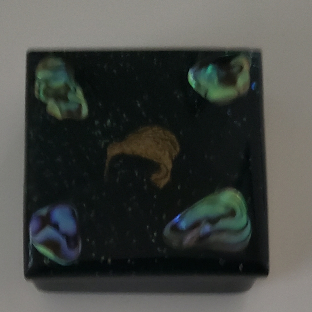 Paua Shell Tiny Jewelry Case